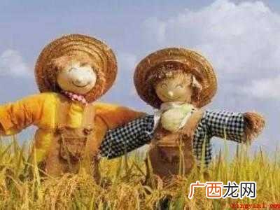 驱赶喜鹊小妙招