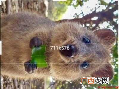 演示机型:Iphone 12 美图秀秀竖版照片怎么变横版