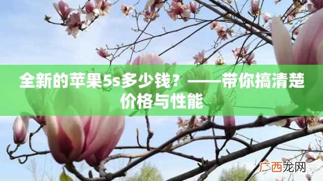 全新的苹果5s多少钱?——带你搞清楚价格与性能
