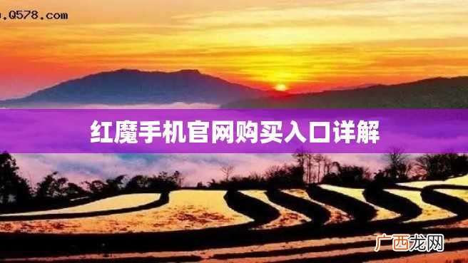 红魔手机官网购买入口详解