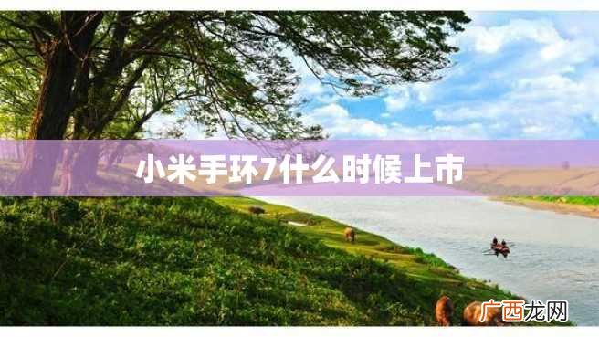 小米手环7什么时候上市
