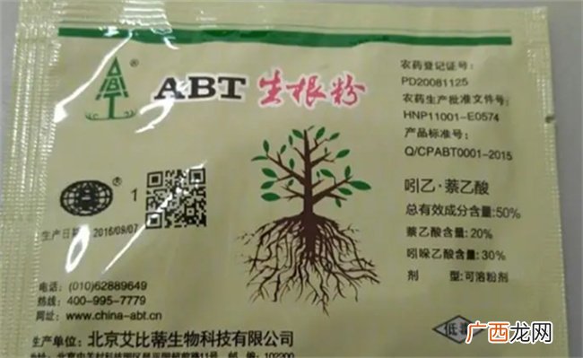 生根粉是什么 生根粉的使用方法有哪些