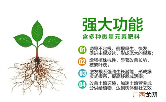 生根粉是什么 生根粉的使用方法有哪些