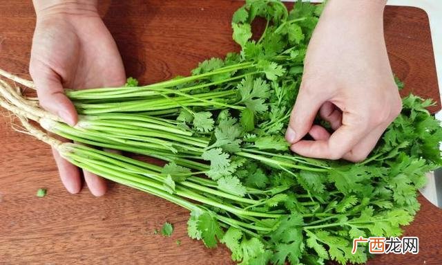 新鲜香菜长期保存方法 香菜怎么冷冻保存新鲜不烂