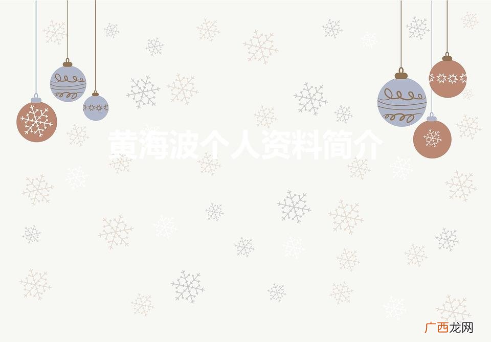 黄海波个人资料简介老婆 黄海波个人资料简介