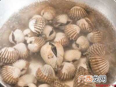 血蛤怎么做好吃共有4步 血蛤怎么做好吃