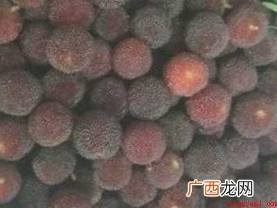 杨梅怎么做酸梅汤