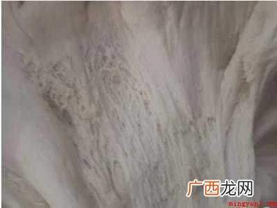 包子和面的比例做法
