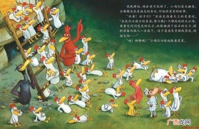 《不一样的卡梅拉》读后感怎么写