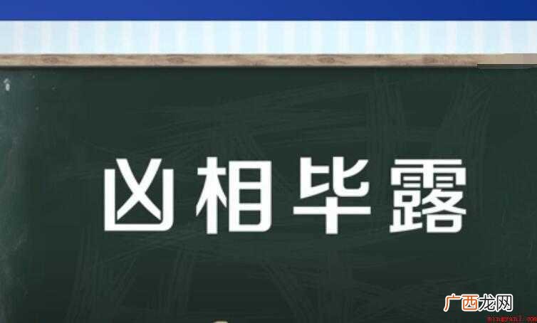 凶相毕露是什么意思