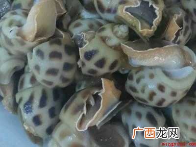 花螺怎么清洗