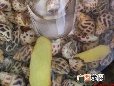 花螺怎么清洗