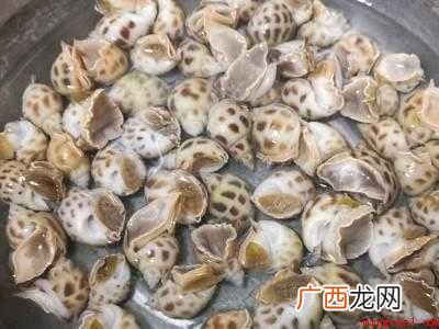 花螺怎么清洗