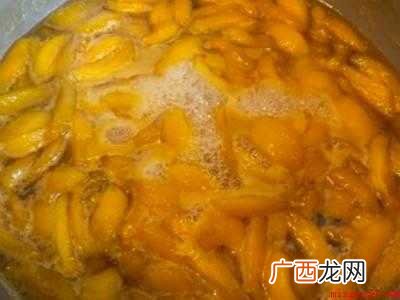 怎样做枇杷膏不变质