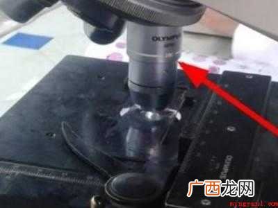 油镜的使用步骤