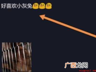演示机型:Iphone 12 抖音在哪里发作品