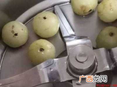 油甘果怎么食用