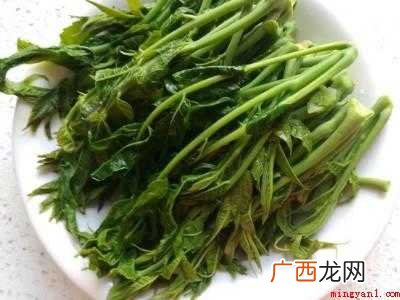 油香椿的做法详细步骤