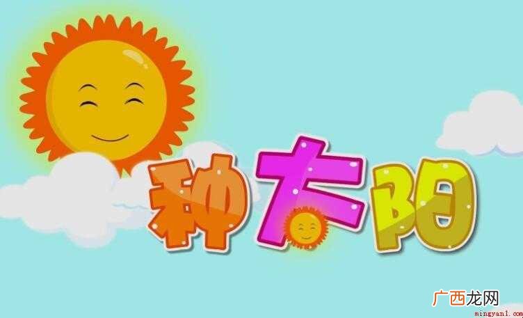 《种太阳》儿歌的创作背景是什么