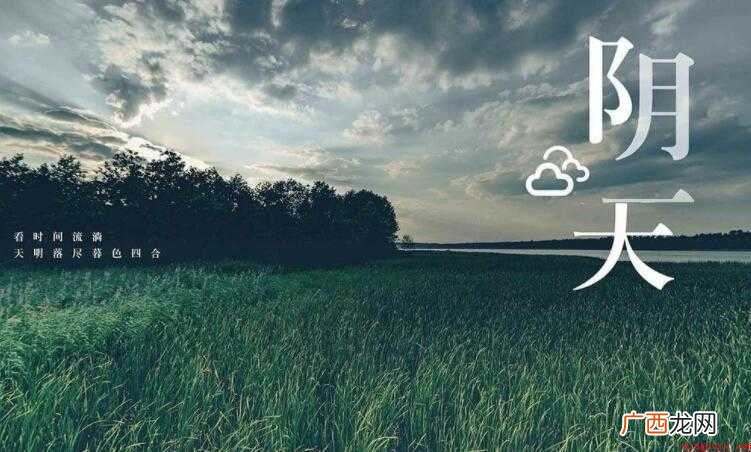 《阴天》的歌词是什么