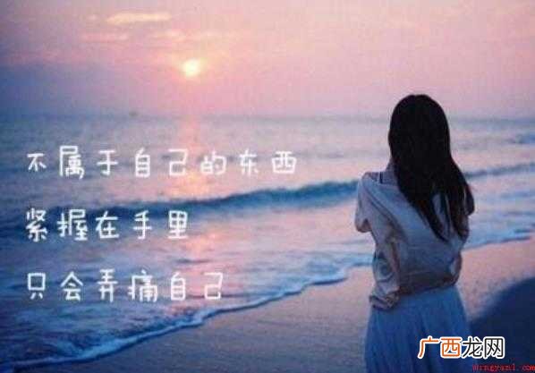表达心情的句子有哪些