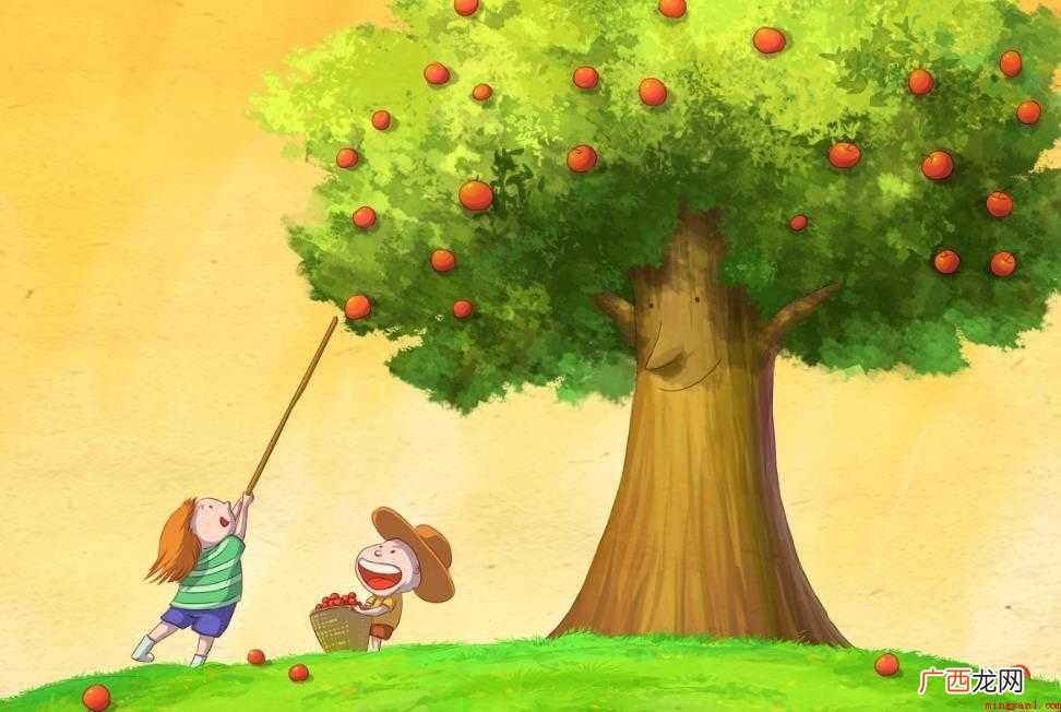 假如我是一棵树优秀作文篇 假如我是一棵树作文怎么写