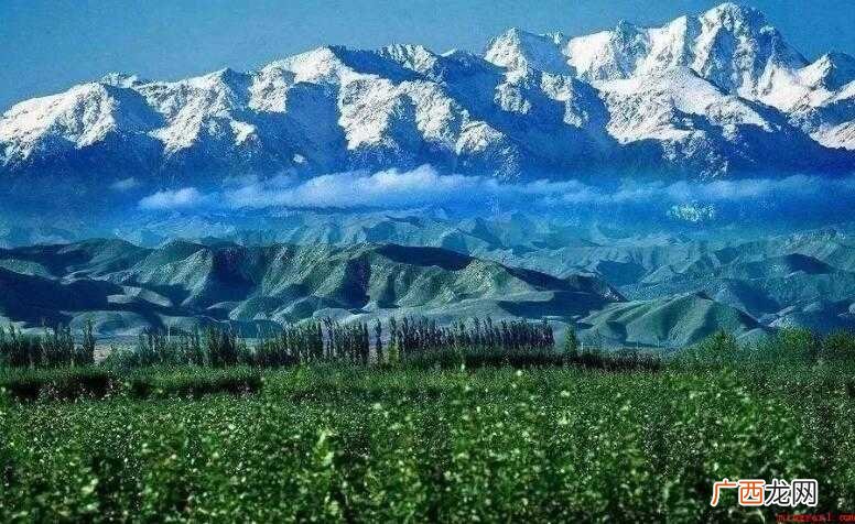 世界十大名著有哪些书