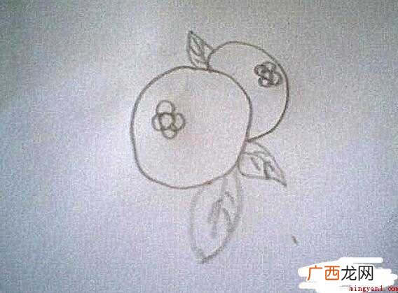 简笔画蓝莓的画法是什么