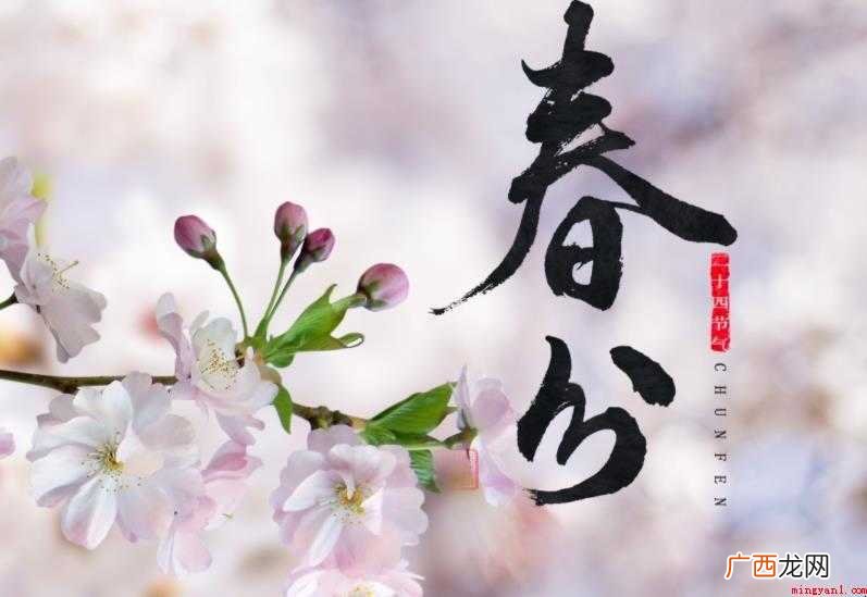 春分是几月几日 太阳直射地球赤道昼夜几乎相等 春分是几月几日