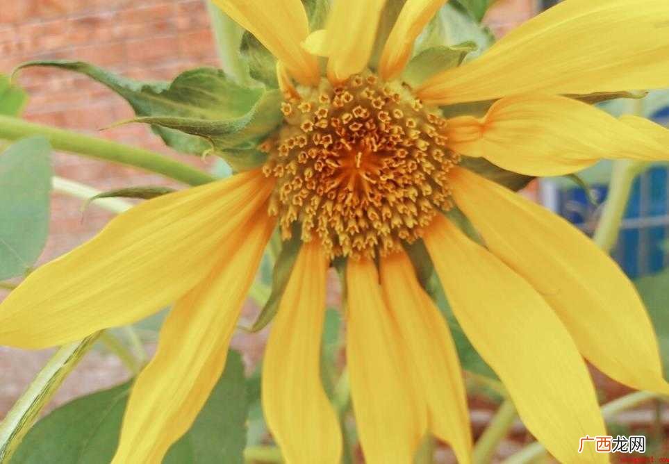 所见所闻是什么意思