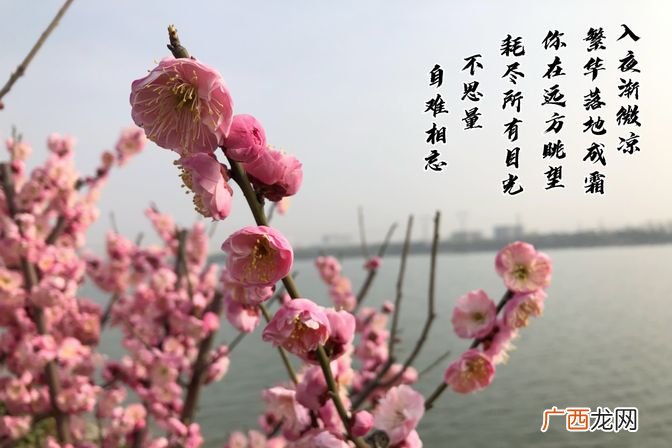 聊聊“不浅”的多种表达方式 不浅什么意思