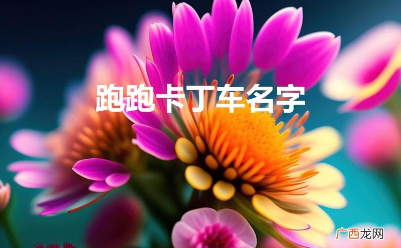 跑跑卡丁车名字颜色怎么改 跑跑卡丁车名字