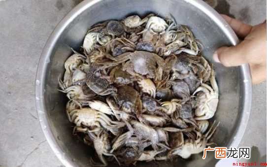 如何做好吃的小螃蟹