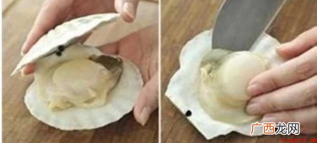 扇贝肉怎样清洗【图文】 扇贝肉怎样清洗