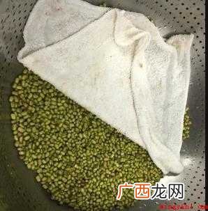 发豆芽怎样做