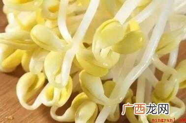发豆芽怎样做