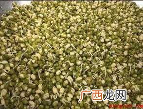 发豆芽怎样做