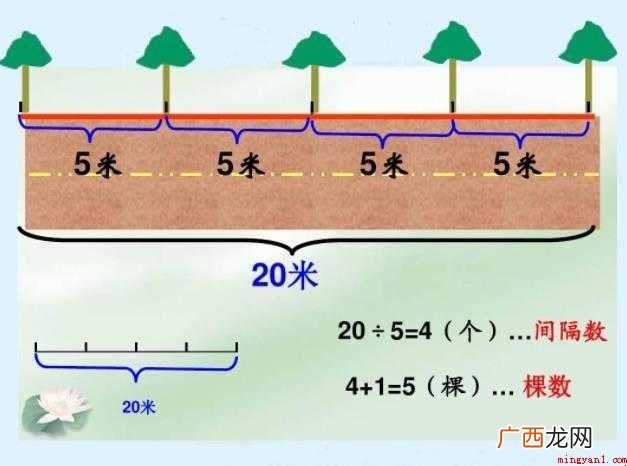 小学五年级数学怎么学