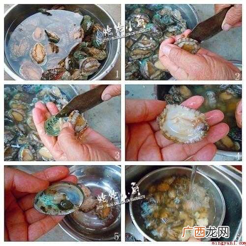 怎样清洗鲍鱼