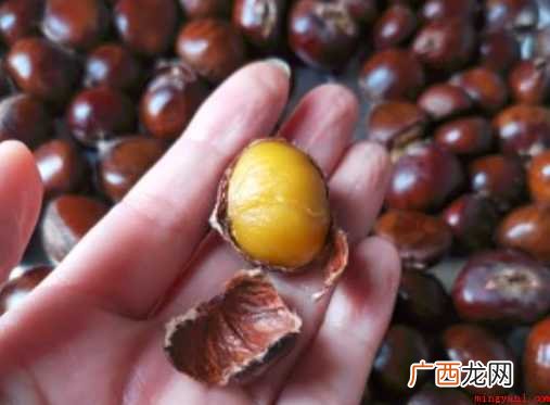 生栗子怎样做才好吃
