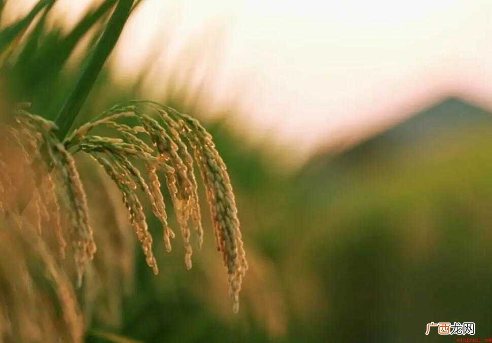 对上级谦卑是什么意思 谦卑是什么意思