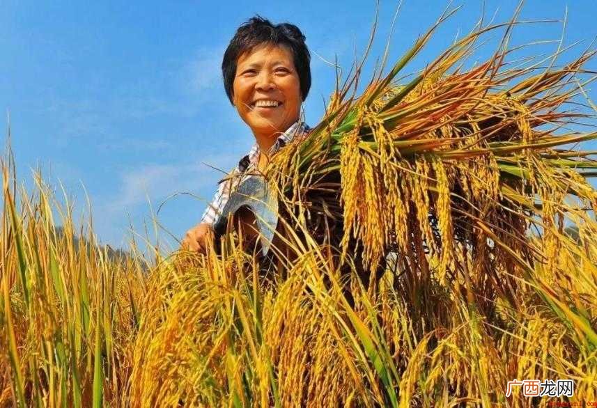 对于丰收的反义词有哪些 丰收的反义词有哪些
