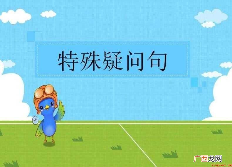 特殊疑问句是什么