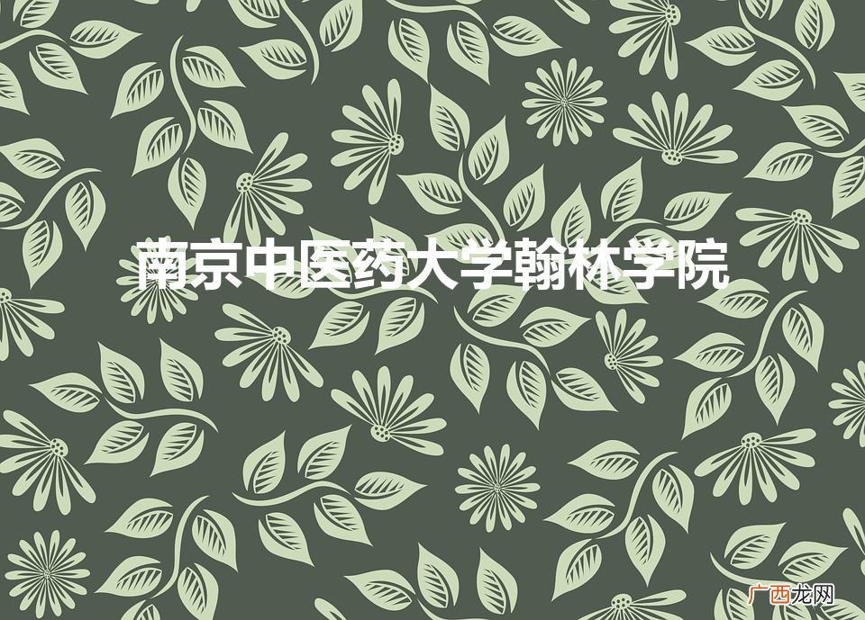 南京中医药大学翰林学院怎么样 南京中医药大学翰林学院