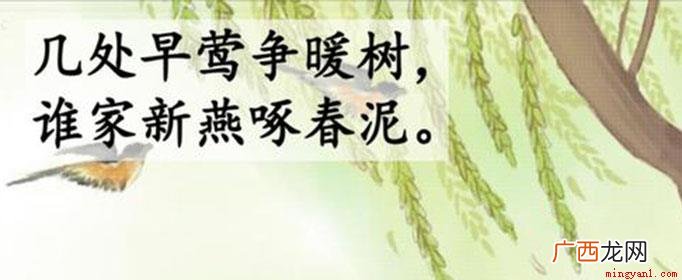 春天新来的燕子出自白居易 谁家新燕啄春泥中的新燕指的是什么