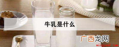 牛乳究竟是什么,一知半解 牛乳是什么