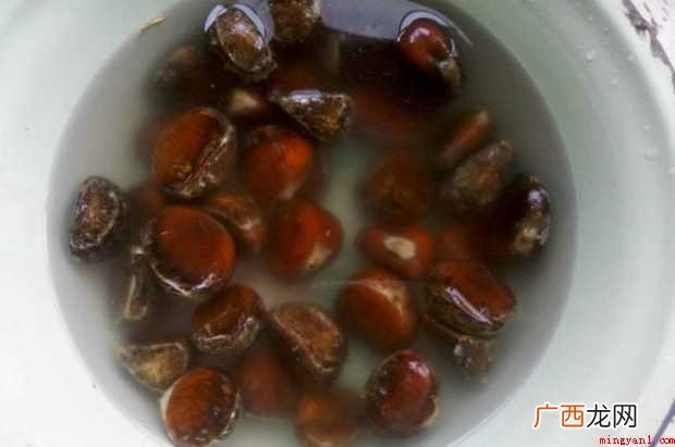 怎样煮栗子才好吃