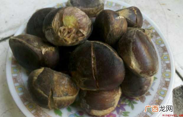 怎样煮栗子才好吃