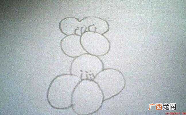 油菜花简笔画怎么画【图】 油菜花简笔画怎么画