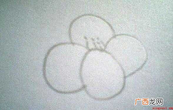 油菜花简笔画怎么画【图】 油菜花简笔画怎么画
